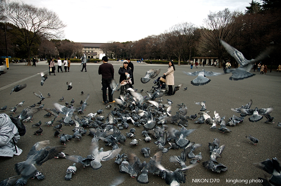 ueno park 15.jpg - 上野公園
